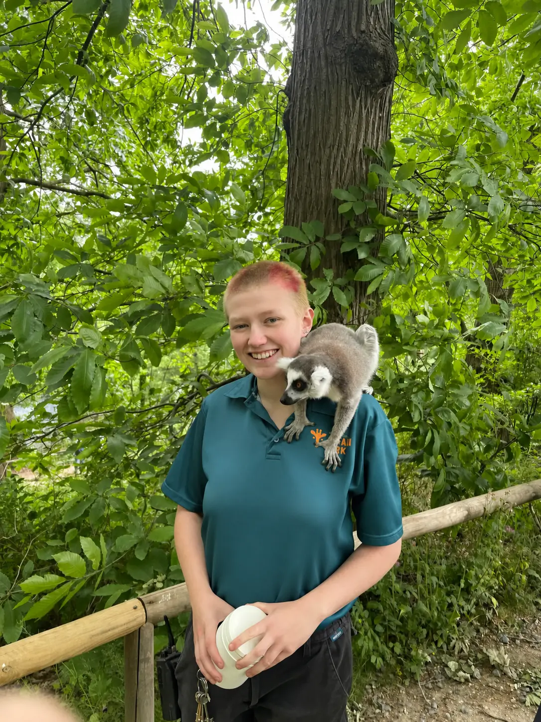 Dawn with a ring-tailed lemur during professional animal-care work